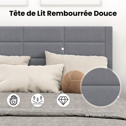 Lit Double Rembourré en Velours 200x140 cm avec Rangement et Pieds Robust